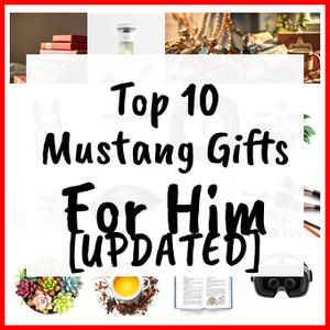 Mustang Gifts For Him [UPDATED]