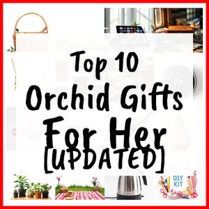 Orchid Gifts For Her [UPDATED]