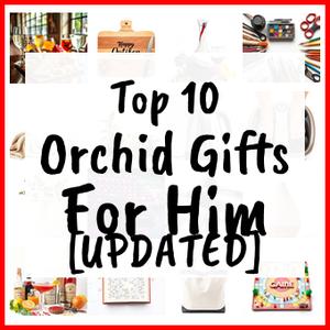 Orchid Gifts For Him [UPDATED]