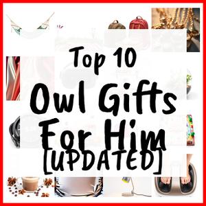 Owl Gifts For Him [UPDATED]