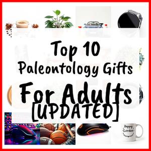 Paleontology Gifts For Adults [UPDATED]