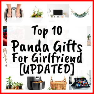 Panda Gifts For Girlfriend [UPDATED]