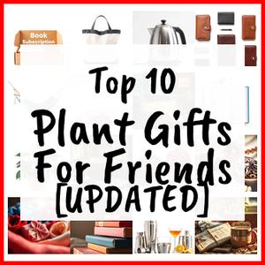 Plant Gifts For Friends [UPDATED]