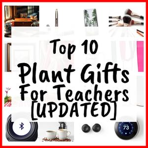 Plant Gifts For Teachers [UPDATED]