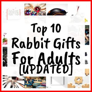Rabbit Gifts For Adults [UPDATED]