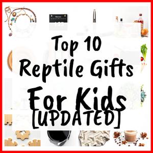 Reptile Gifts For Kids [UPDATED]