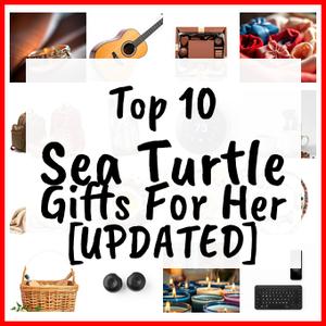 Sea Turtle Gifts For Her [UPDATED]