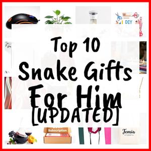 Snake Gifts For Him [UPDATED]