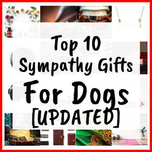 Sympathy Gifts For Dogs [UPDATED]