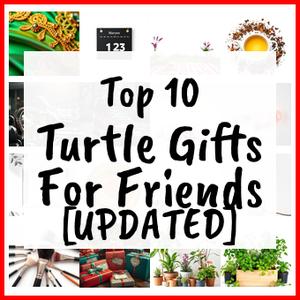 Turtle Gifts For Friends [UPDATED]