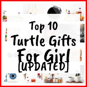 turtle gifts for girl