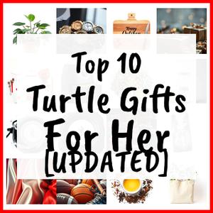 Turtle Gifts For Her [UPDATED]