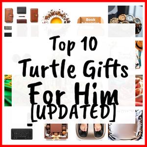 Turtle Gifts For Him [UPDATED]