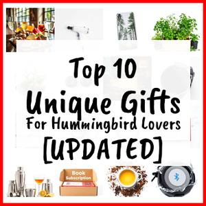 Unique Gifts For Hummingbird Lovers [UPDATED]
