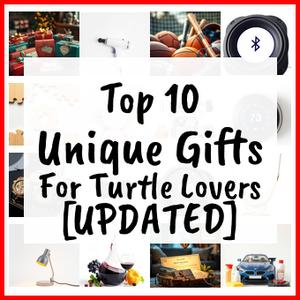 Unique Gifts For Turtle Lovers [UPDATED]