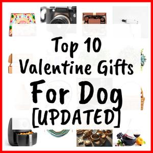 Valentine Gifts For Dog [UPDATED]