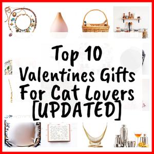 Valentines Gifts For Cat Lovers [UPDATED]