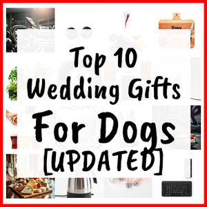 Wedding Gifts For Dogs [UPDATED]